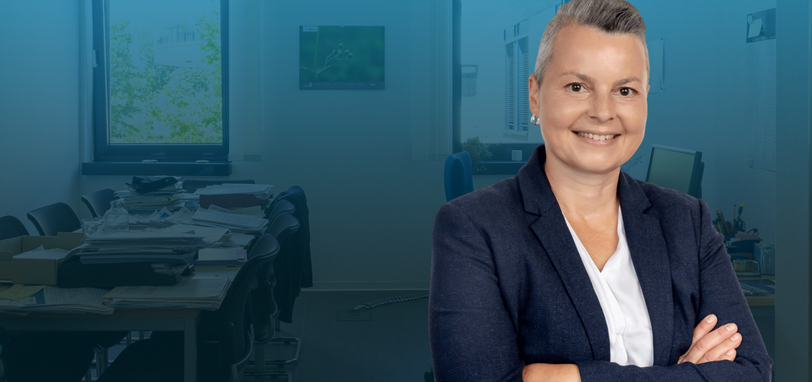 Schicktanz Steckbrief